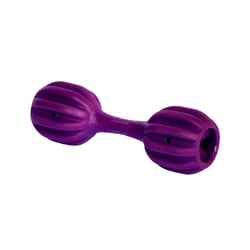 Brinquedo Amicus Fun Toys Pet Fit Roxo Para Cães - 1 Unidade