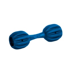 Brinquedo Amicus Pet Fit Azul Para Cães - 1 Unidade