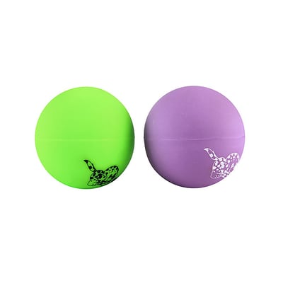 Brinquedo Bola De Adestramento Líder Pet Para Cães - Cores Sortidas - Tamanho P