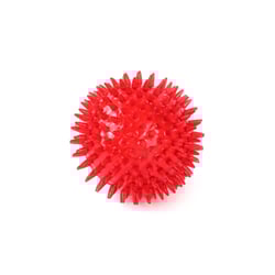 Brinquedo Bola Spiky Spike Grande Vermelha Para Cães
