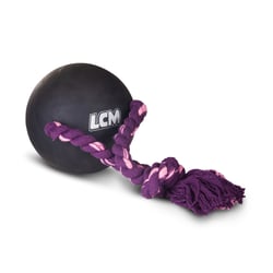 Brinquedo Bola Superpet Para Cães - 1 Unidade