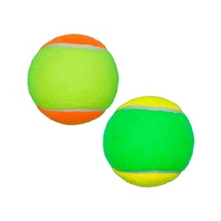Brinquedo Bola Tênis Bicolor Lcm Para Cães - 1 Unidade