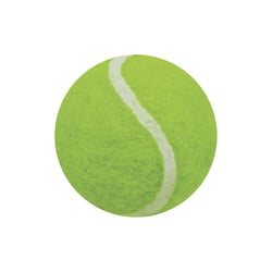Brinquedo Bola Mini Tênia Lcm 40Mm Para Cachorros
