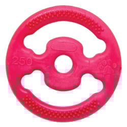 Brinquedo Cães Lcm Borracha Anilha M - 1 Unidade