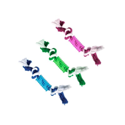 Brinquedo Chalesco Totóys Tubo Com Corda Flex Para Cães - Cores Sortidas - 1 Unidade