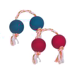 Brinquedo Dental Bone Halteres Lcm Para Cães - Cores Sortidas