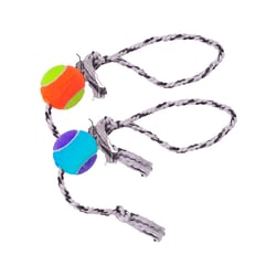 Brinquedo Dental Bone Lcm Para Cães - 1 Unidade