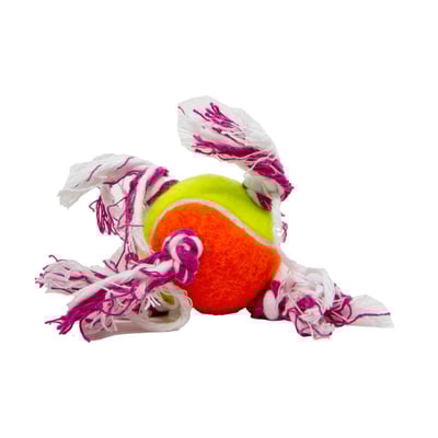 Brinquedo Dental Bone Lcm Para Cães - Sortido