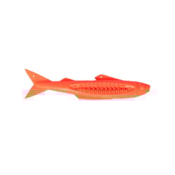 Brinquedo Escova Truqys Dental Fish Para Gatos - Laranja