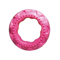 Brinquedo Furacão Pet Pneu Slick Rosa Para Cães - 1 Unidade
