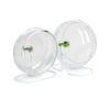 Brinquedo Hamster Roda Acrílica Com Suporte Jel Plast - 1 Unidade