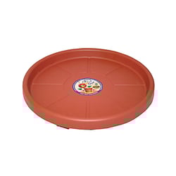 Brinquedo Interativo Okla Skate Terracota - Prato Com Rodas Para Jardim - 120 Kilos