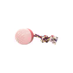 Brinquedo Massageador Sonoro The Dogs Toy Para Cães - 1 Unidade