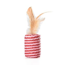 Brinquedo Mimo Cilindro Com Peninhas Para Gatos - Papelão