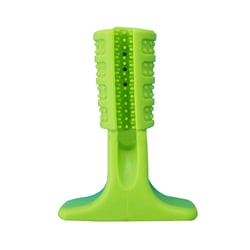 Brinquedo Mordedor Escova Dental Verde Napi P