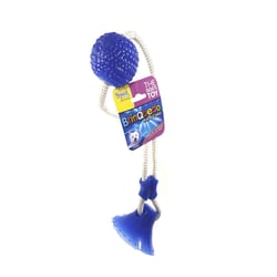 Brinquedo Mordedor Ventosa The Pets Para Cães - Bola Azul