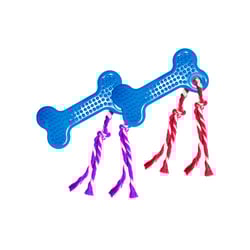 Brinquedo Osso Dental Maciço Com Cravo Para Cães - Cores Sortidas - 1 Unidade - Tamanho P