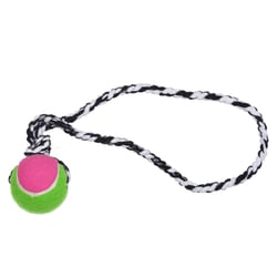 Brinquedo Para Cães Lcm Push Dog Ball B Borracha 470Mm - 1 Unidade