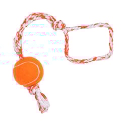 Brinquedo Para Cães Lcm Push Dog Ball Borracha 500Mm - 1 Unidade