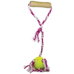 Brinquedo Para Cães Lcm Push Dog Ball Borracha Luxo 400Mm - 1 Unidade