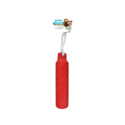 Brinquedo Para Cães Pawise Dura Foam Stick - 1 Unidade