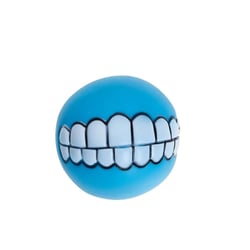 Brinquedo Para Cães The Pets Vinil Bolinha Sorriso Colors - 1 Unidade