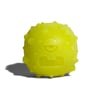 Brinquedo Para Cães Zee.Dog Rob The Microbe