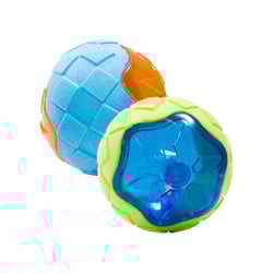 Brinquedo Petwi Bola De Borracha E Silicone Para Cães - Cores Sortidas