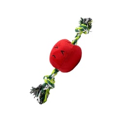 Brinquedo Petwi Maçã De Pelúcia Com Corda Para Cães