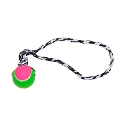 Brinquedo Push Dog Ball B Lcm Para Cães - 1 Unidade Sortida