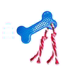 Brinquedo São Benedito Pet Osso Dental Maciço Com Cravo Azul Para Cães - Cores Sortidas - Tamanho M