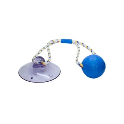 Brinquedo Truqys Push Ball Pet Azul - 1 Unidade