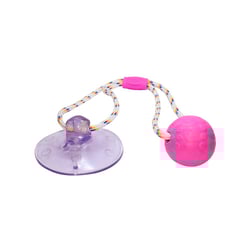 Brinquedo Truqys Push Ball Pet Rosa - 1 Unidade