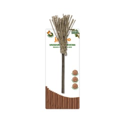 Brinquedo Vassoura Matatabi Jambo Para Gatos - 1 Unidade
