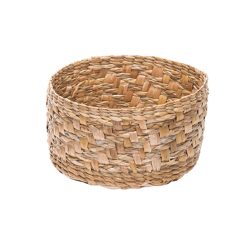 Cachepô De Taboa Crisântemo Bola Belga - 1 Unidade