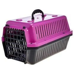 Caixa De Transporte Alvorada New Verde Para Cães E Gatos - Tamanho 4
