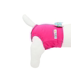 Calcinha Bonito Pra Cachorro Para Cães Malha Francis - Tamanho P