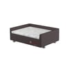 Cama Box Luxo Pet Sleep Pelmex Para Cães E Gatos - Marrom E Branco - Tamanho 3