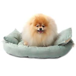 Cama Luxo Bichinho Chic Verde G - 1 Unidade