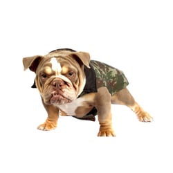 Capa Camuflada Bichinho Chic Nº 07