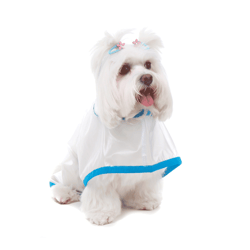Capa De Chuva Para Cachorro Bichinho Chic Azul N° 01 - 1 Unidade