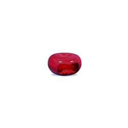 Casa Gato Vermelho