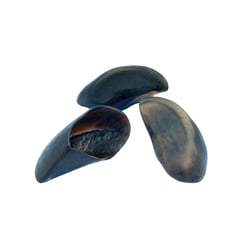 **Casco De Boi Para Cachorros - 1 Unidade**