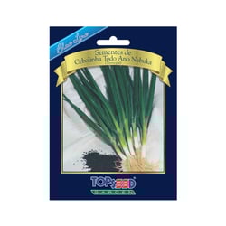 Cebolinha Nebuka Blue Line Topseed Garden - 1 Pacote