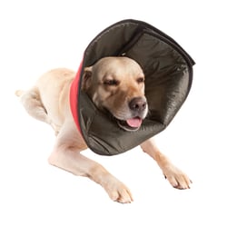 Colar Elizabetano Conforto Pet Med Color 1 - 1 Unidade - Tamanho 0