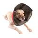 Colar Elizabetano Conforto Pet Med Color 1 - 1 Unidade - Tamanho 0 - Tamanho 0