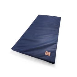 Colchão Griff Dog Azul Tamanho 4 Para Cães Macho