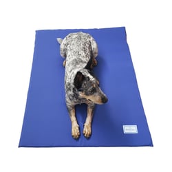 Colchopet Pickorruchos Surf Para Cães E Gatos - 1 Unidade