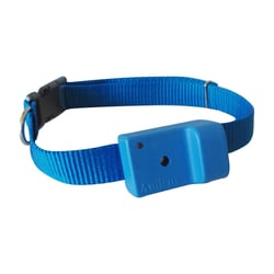 Coleira Antilatido Amicus Smart 2 Plus Azul - 1 Unidade