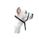 Coleira Cabresto K9 Spirit Para Cães Preta - 1 Unidade - Tamanho M - Tamanho M